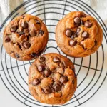 Pumpkin Protein Muffins